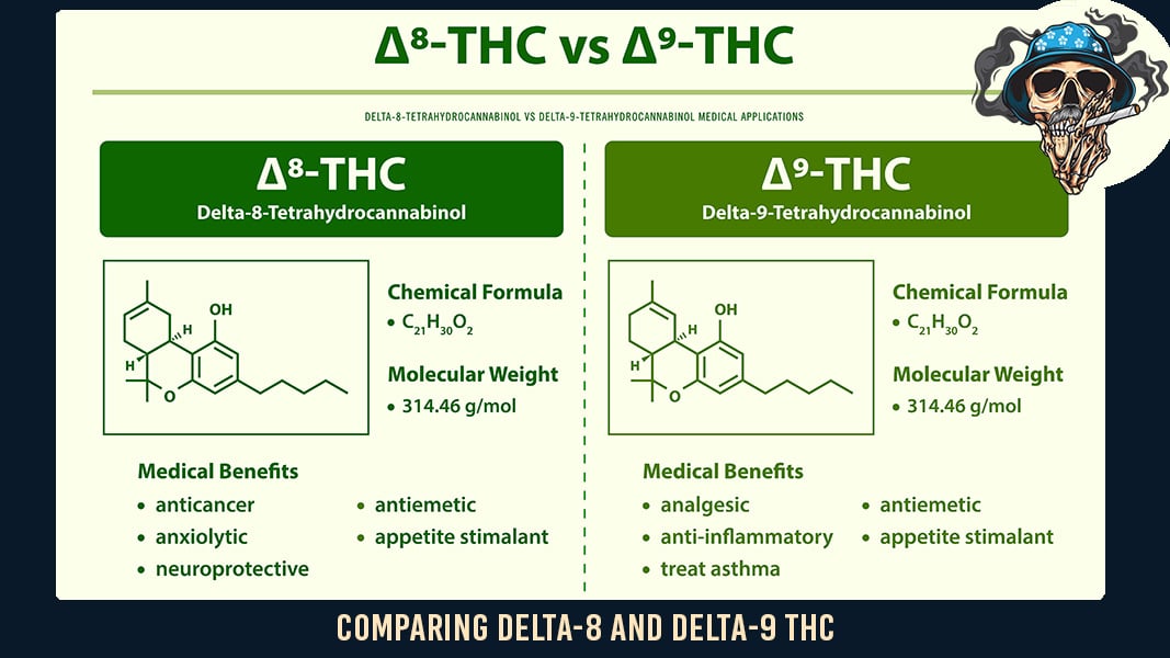 Delta-8 THC Gummies vs Other Delta-9 THC Products