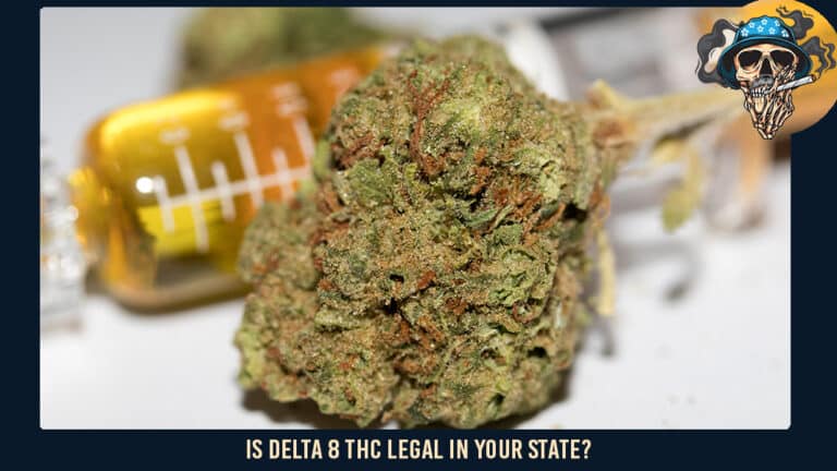 Is Delta 8 THC Legal in Your State