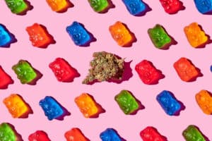 edible cannabis