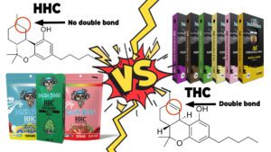 HHC VS THC